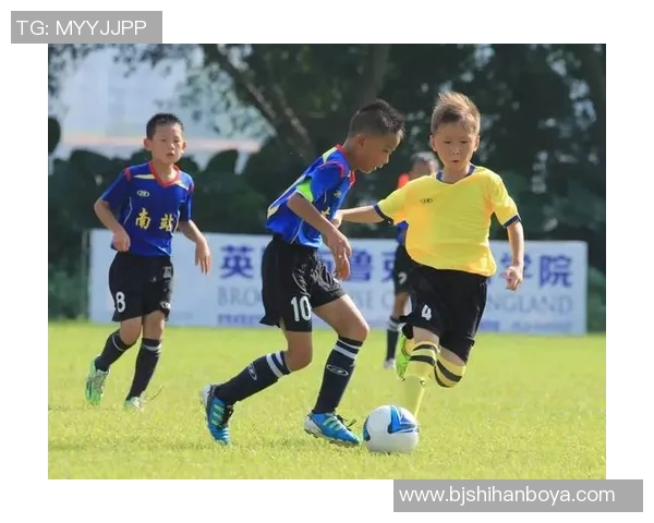 博州足球学校培养未来之星助力青少年足球梦想成真